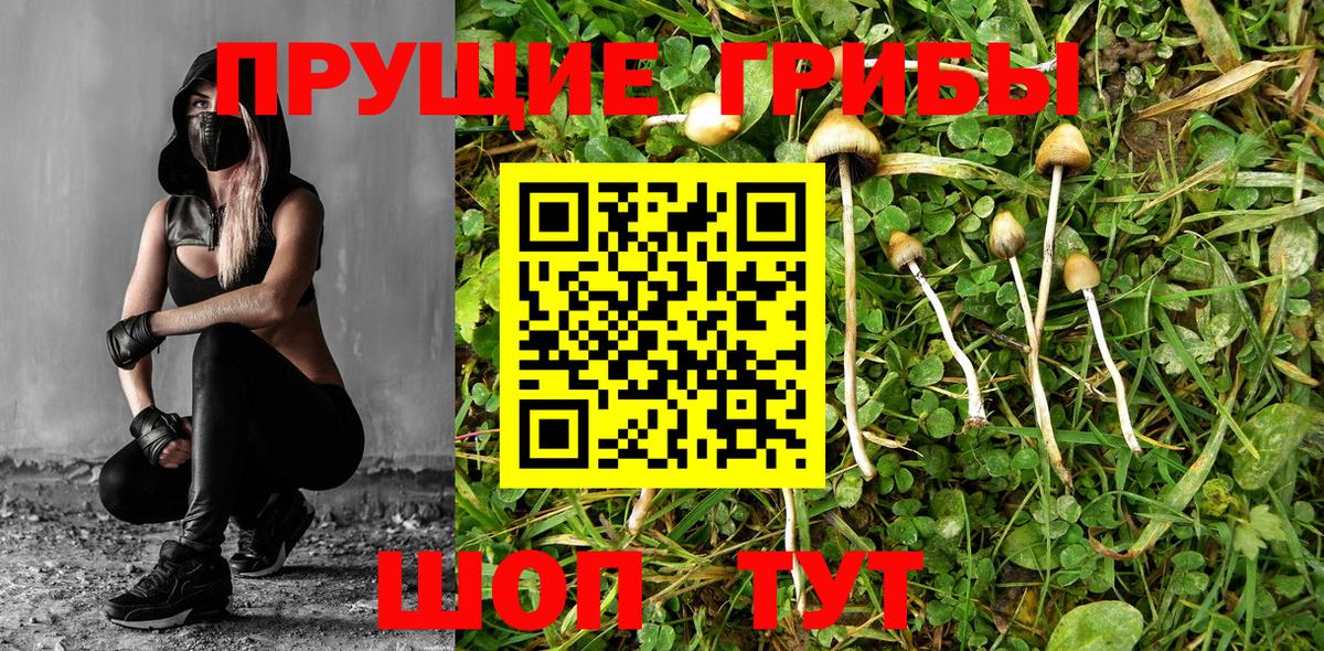 Находка  наркота  Вход с VPN  Псилоцибиновые грибы мицелий 